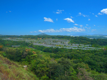 神戸市営 西神墓園 景観