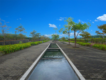 神戸市営 西神墓園 景観